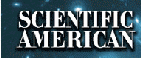 Scientific American