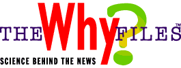 The Why Files